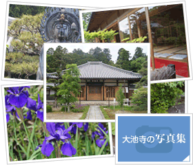 大池寺の写真集