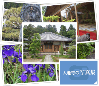 大池寺の写真集